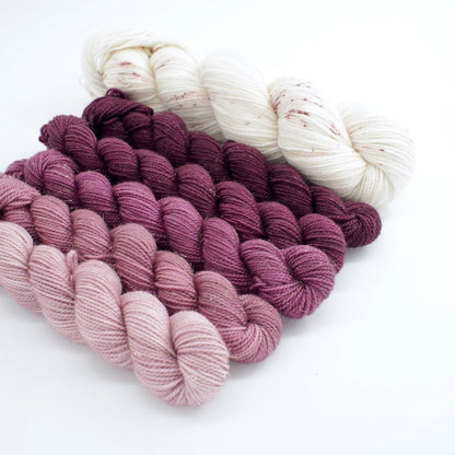 Plum Ombré Minis Shawl Kit