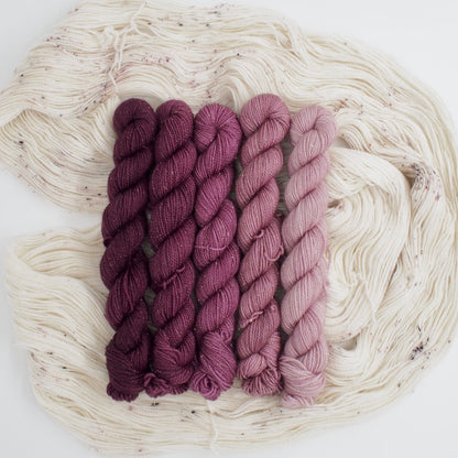 Plum Ombré Minis Shawl Kit