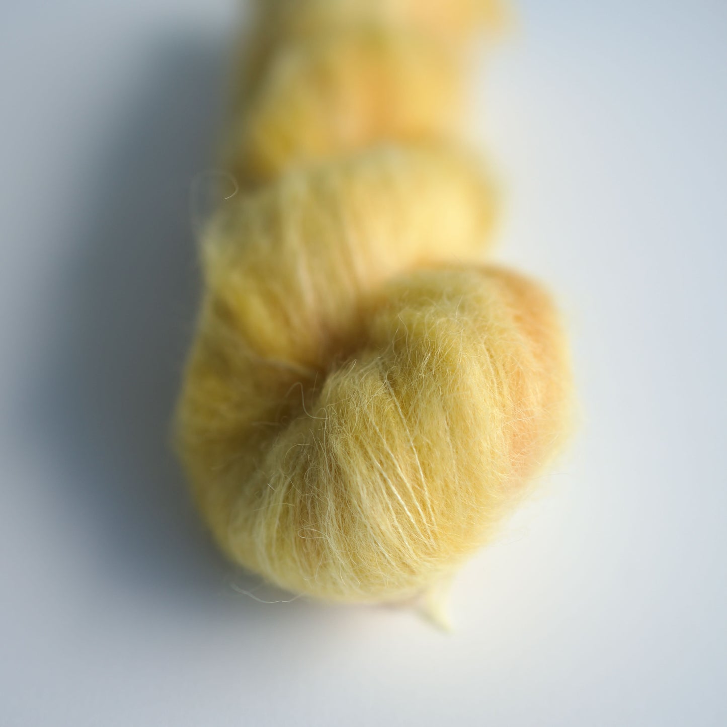 Forsythia