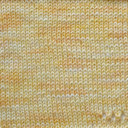 Forsythia