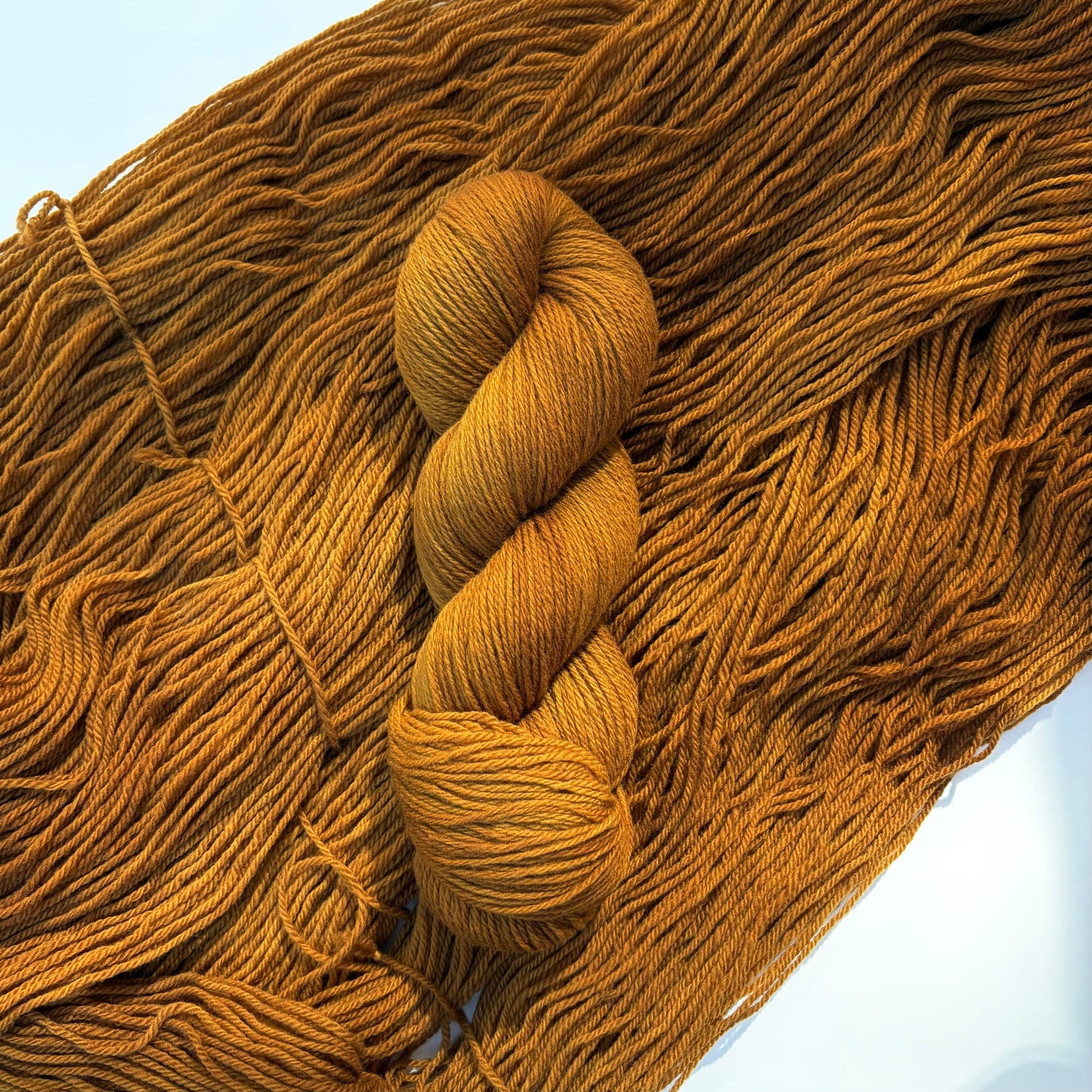 Sepia - Corrie Woolen